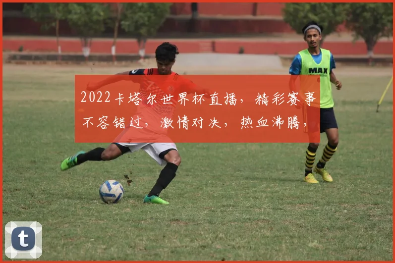 2022卡塔尔世界杯直播，精彩赛事不容错过，激情对决，热血沸腾，敬请关注