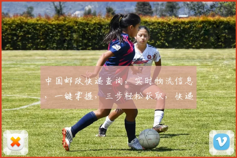 中国邮政快递查询，实时物流信息，一键掌握，三步轻松获取，快递追踪无忧