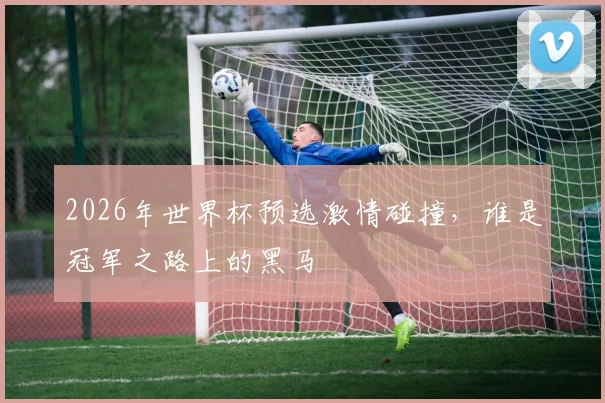 2026年世界杯预选激情碰撞，谁是冠军之路上的黑马