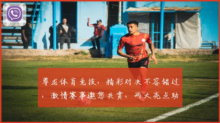 尊龙体育竞技，精彩对决不容错过，激情赛事邀您共赏，两大亮点助力体育迷狂欢