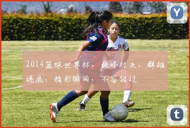 2014篮球世界杯，巅峰对决，群雄逐鹿，精彩瞬间，不容错过