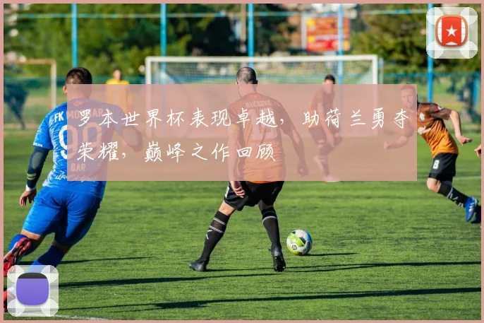 罗本世界杯表现卓越，助荷兰勇夺荣耀，巅峰之作回顾