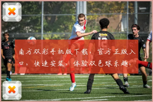 南方双彩手机版下载，官方正版入口，快速安装，体验双色球乐趣，轻松中奖